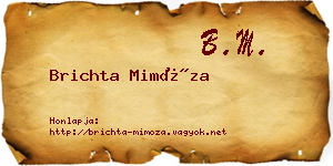 Brichta Mimóza névjegykártya